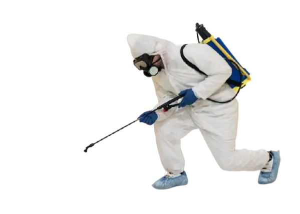 CONTROL DE INSECTOS VOLADORES Y RASTREROS