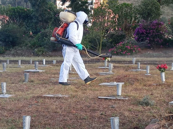 CONTROL DE INSECTOS VOLADORES Y RASTREROS